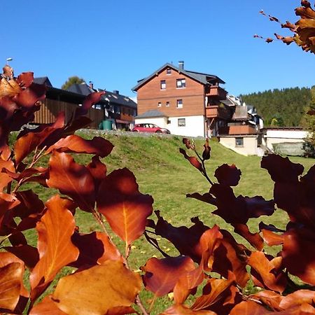 Ferienwohnung Elisabeth Klingenthal Kültér fotó