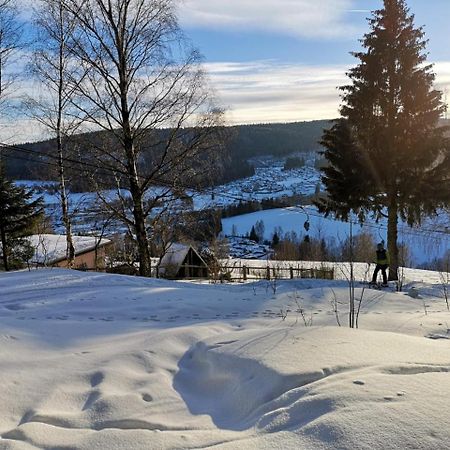 Ferienwohnung Elisabeth Klingenthal Kültér fotó