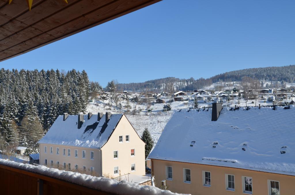 Ferienwohnung Elisabeth Klingenthal Kültér fotó