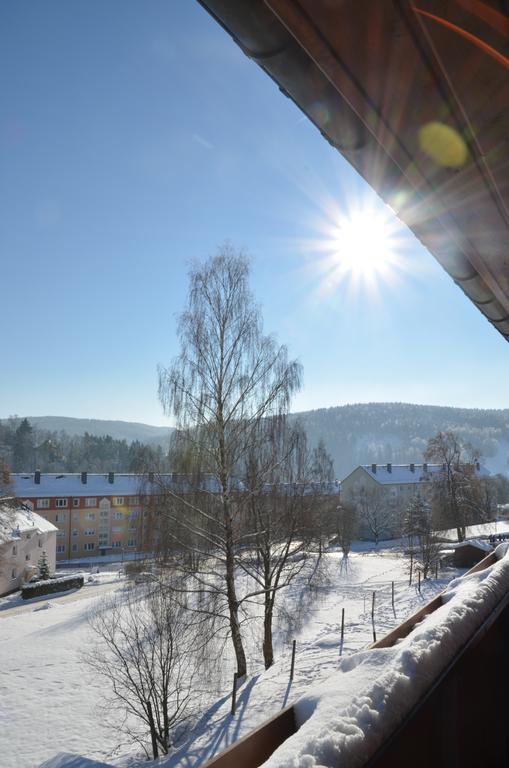 Ferienwohnung Elisabeth Klingenthal Kültér fotó