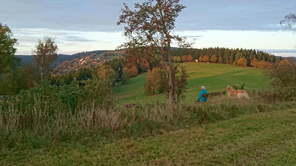 Ferienwohnung Elisabeth Klingenthal Kültér fotó